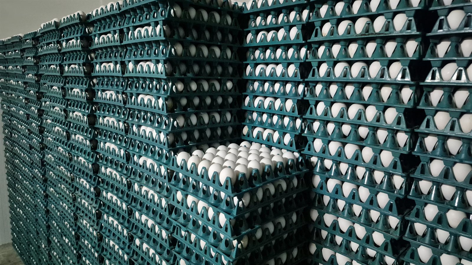 Green storage crates filled with eggs stacked neatly along the room wall