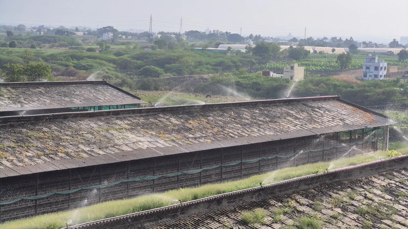 Roof view with sprinkler mist and nearby buildings in the background
