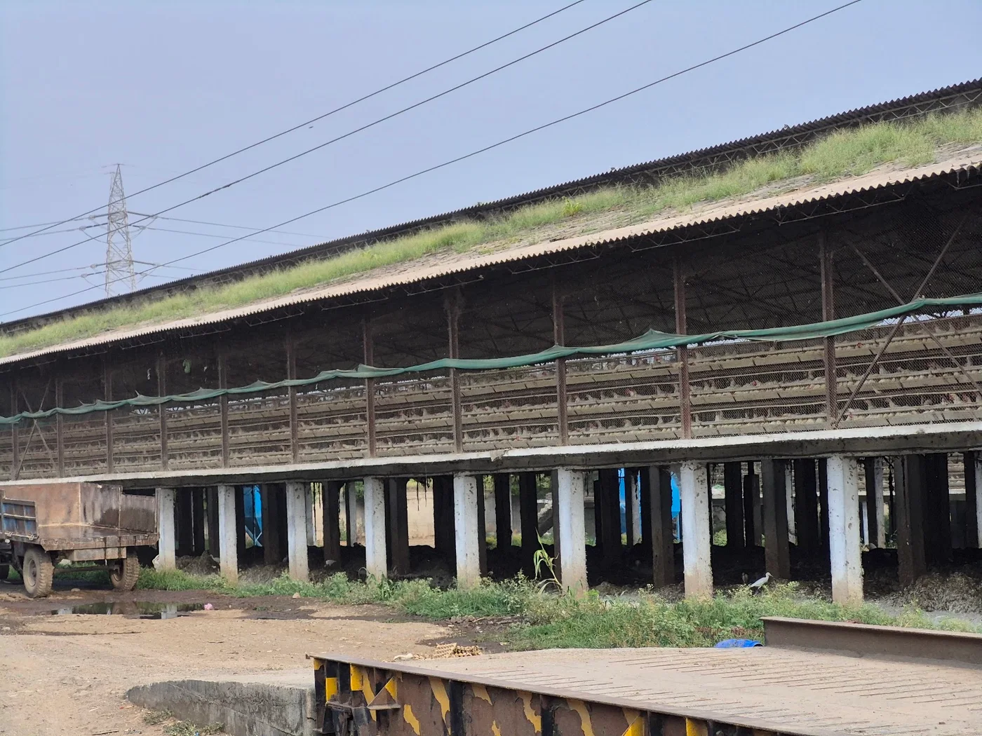 Platform-side exterior view of the poultry shed