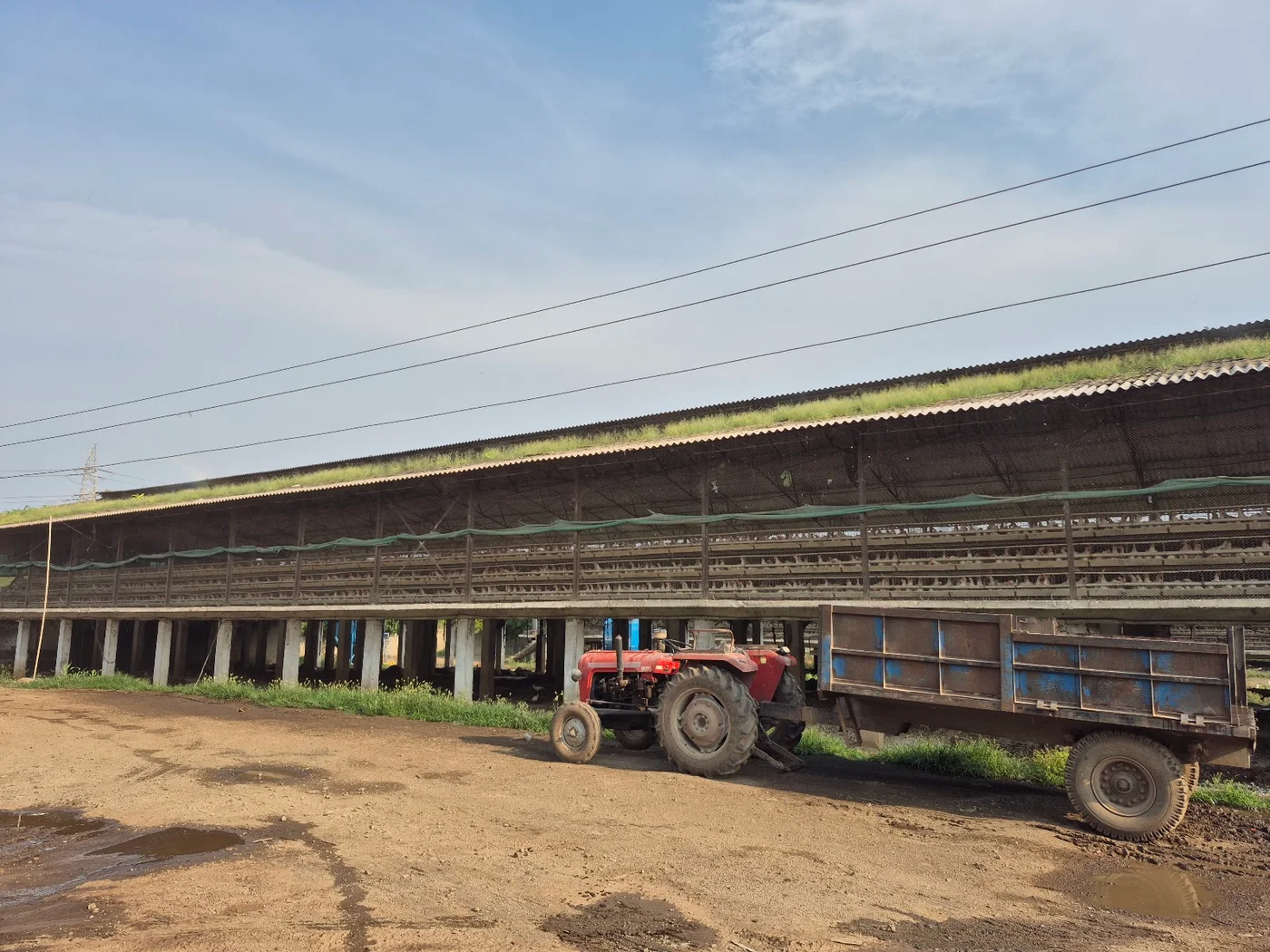 Farm service lane with tractor beside the poultry shed