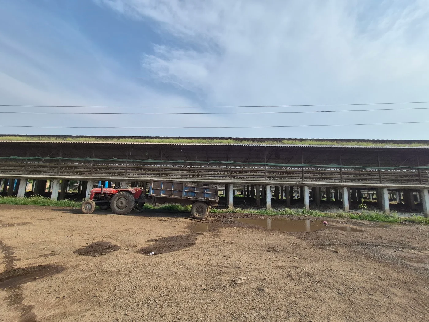Front yard view of the poultry shed with a tractor parked nearby